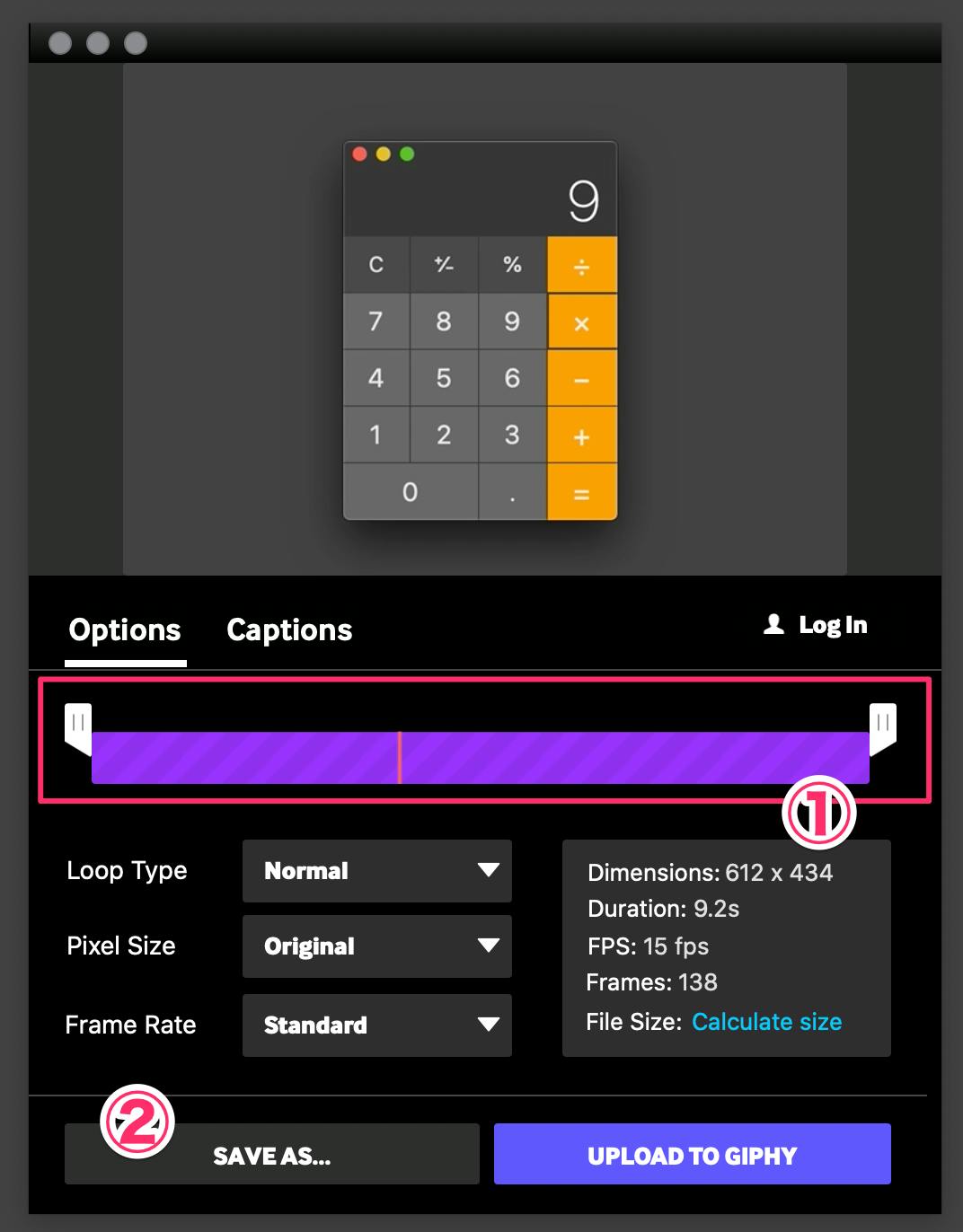 Mac Gifアニメーションの作り方 Picgif Giphy Capture わくわくbank