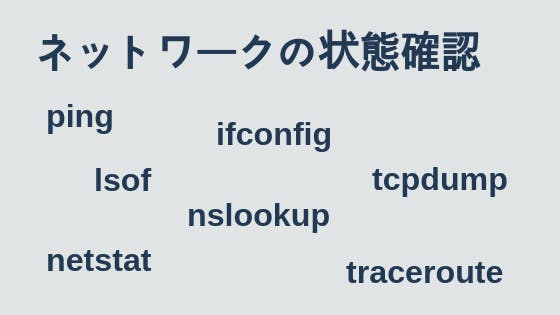 Linux ネットワークの状態確認 Ping Ifconfig Netstatなど わくわくbank